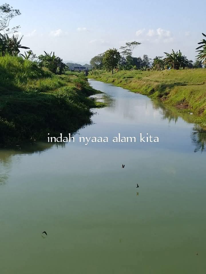 Masalah MBG #pengikut #MBG | Dano Putra Pandawa Mtj