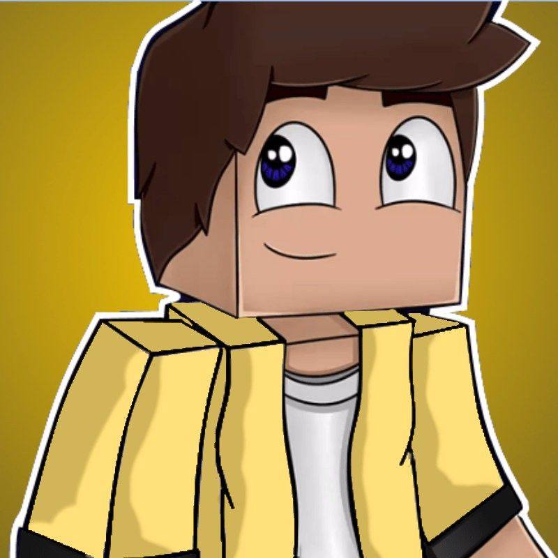 Free Elytra #minecraftmemes #minecraft | Vynox kairo