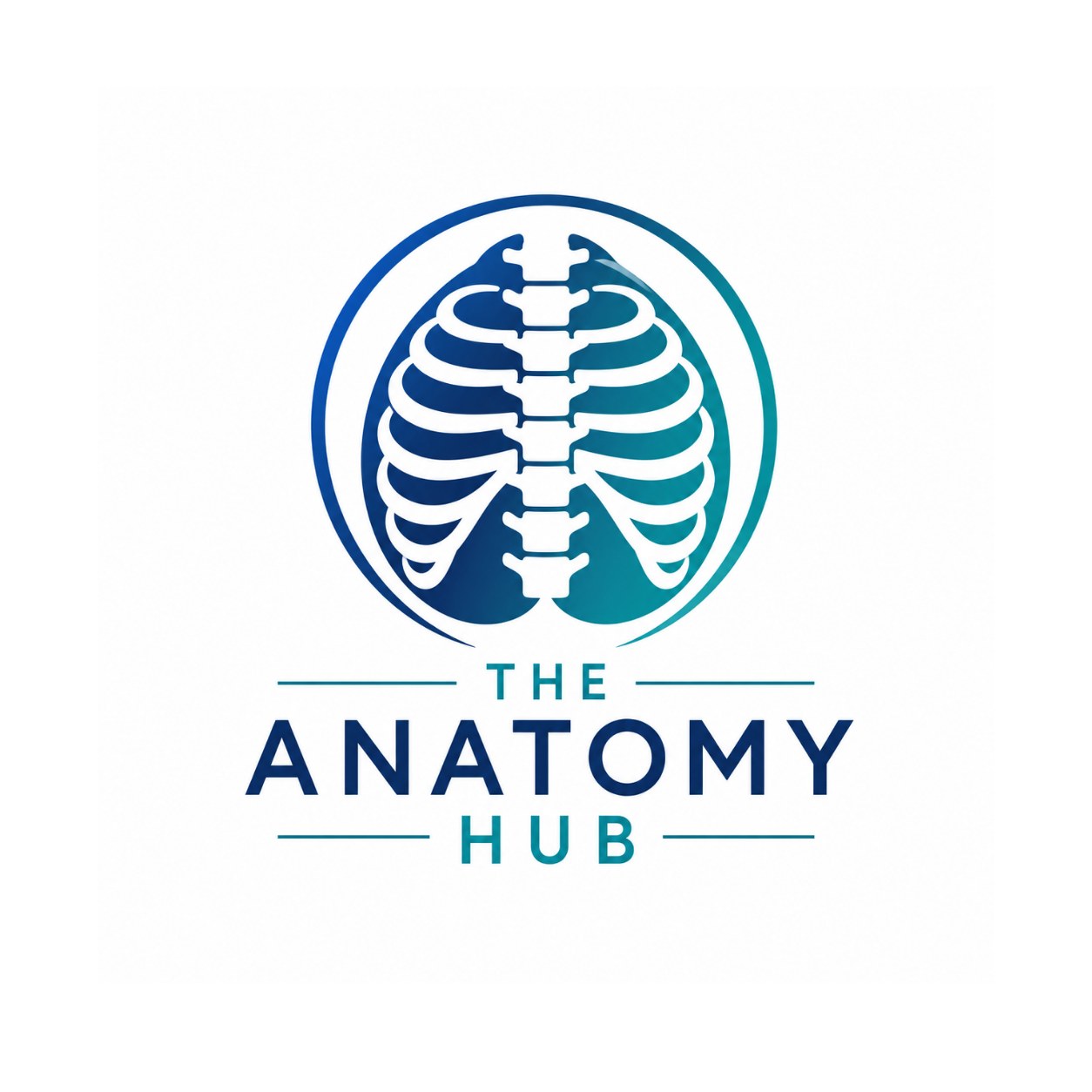 The Anatomy Hub - Ever feel or hear a click on the outside... | Facebook