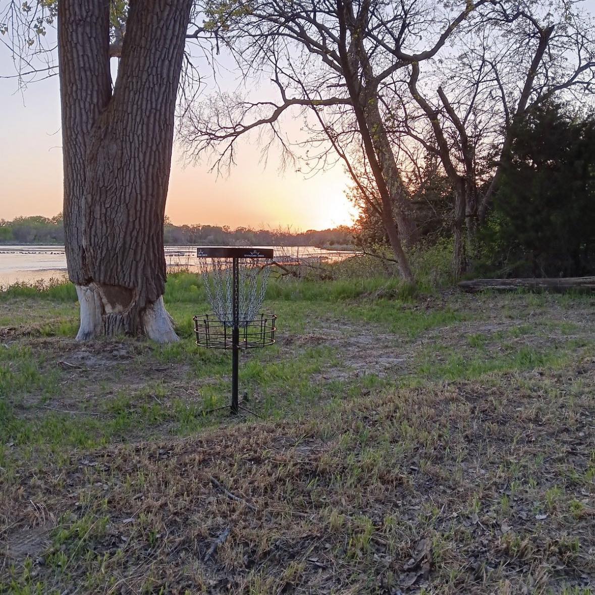This hole is too easy 😮‍💨 Guess the disc correct and I’ll like your ...