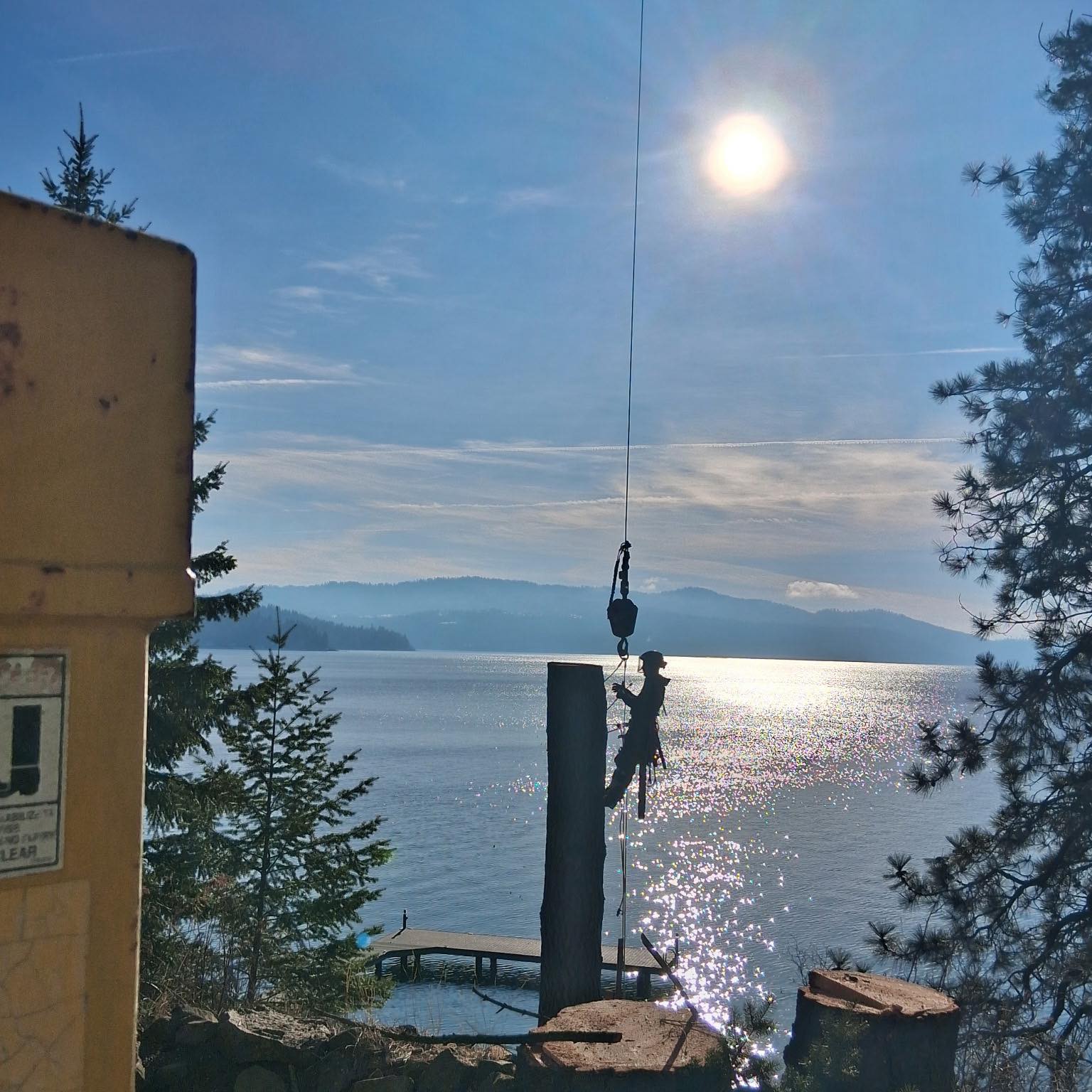 Mountain Tree Service | Libby MT