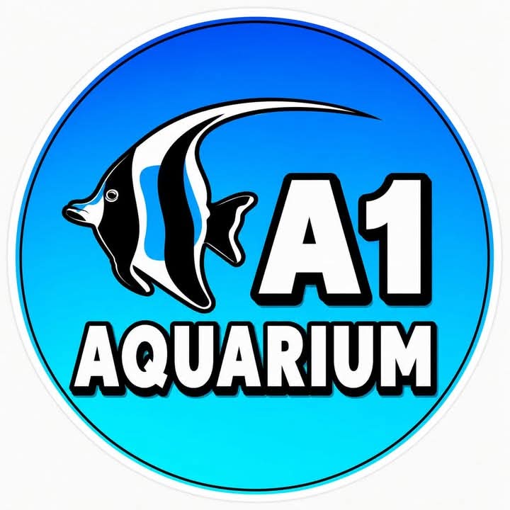 Open today. Come save us from our... - A1 Aquarium Tasmania | Facebook