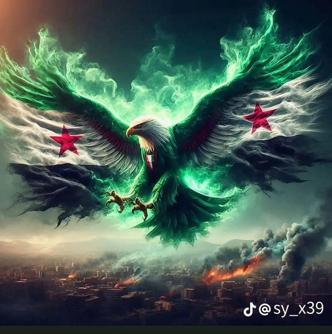 فيديو يقشعر له الابدان لفتاة في غاية الجمال! لم تبالي بوجود الكاميرات ...