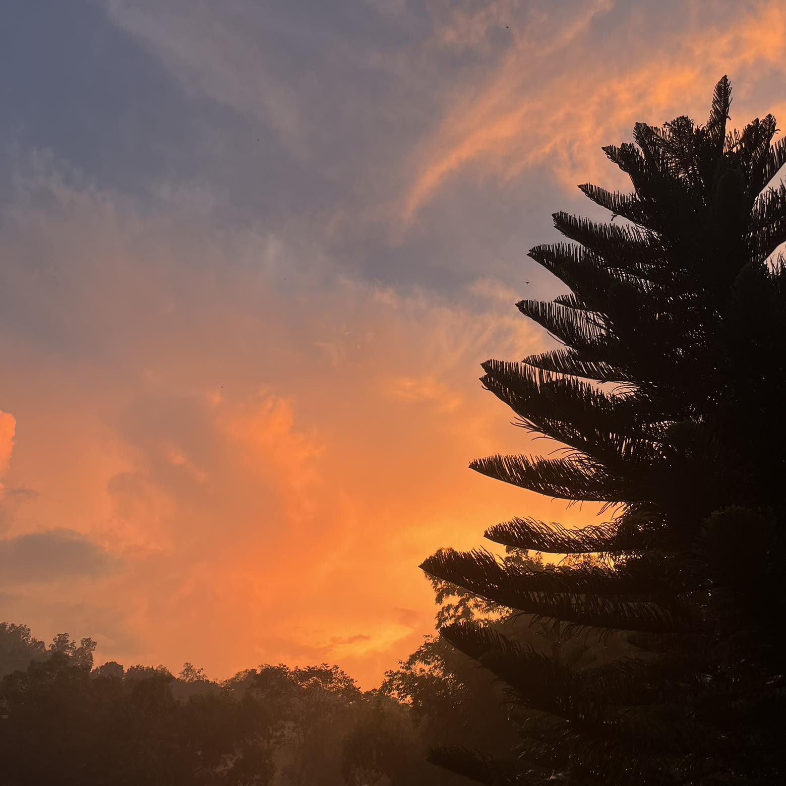 🔮 REMOTE DEEP SPIRITUAL & ENERGY CLEANSING WITH PROTECTION 🧿💜 Distance ...