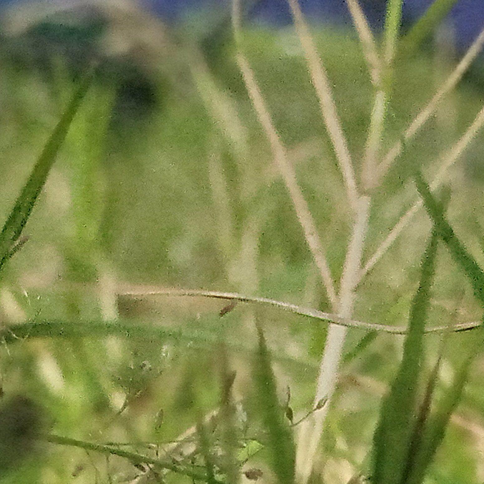 ডিজিটাল সিট কাটিং এর কাজ চলছে কারখানায়। চাবি রিং তৈরি হবে। যে কোনো ...