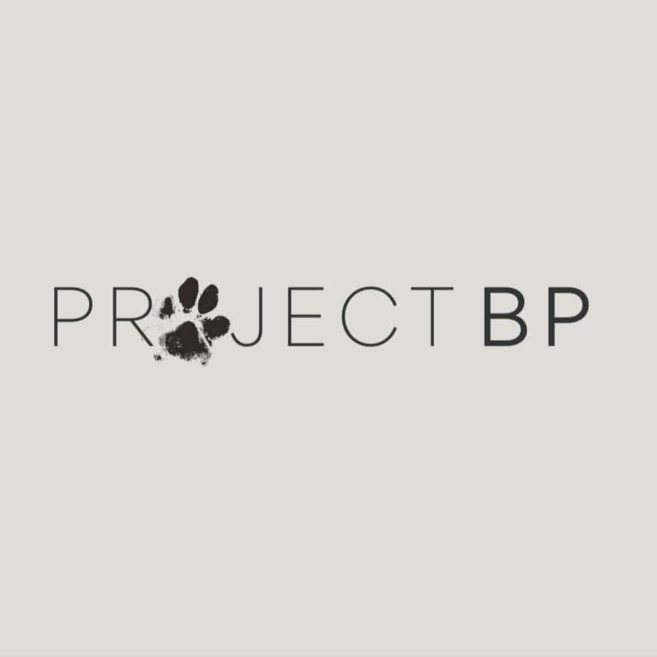 Project BP Rescue | Los Angeles CA