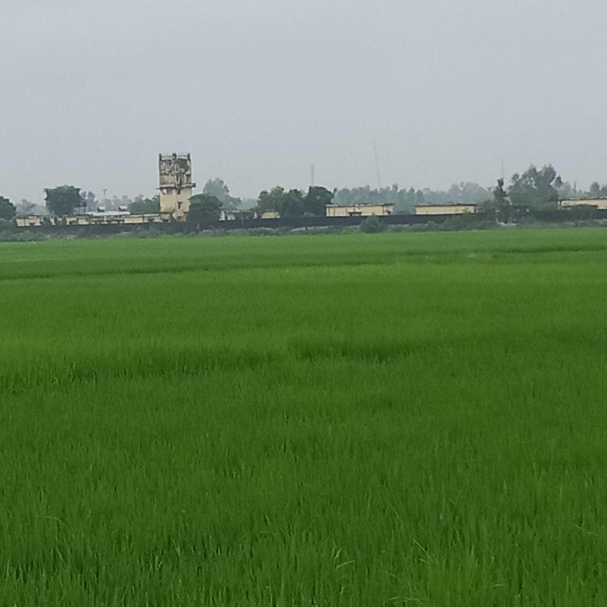 dui-bochor-arishba-rahman