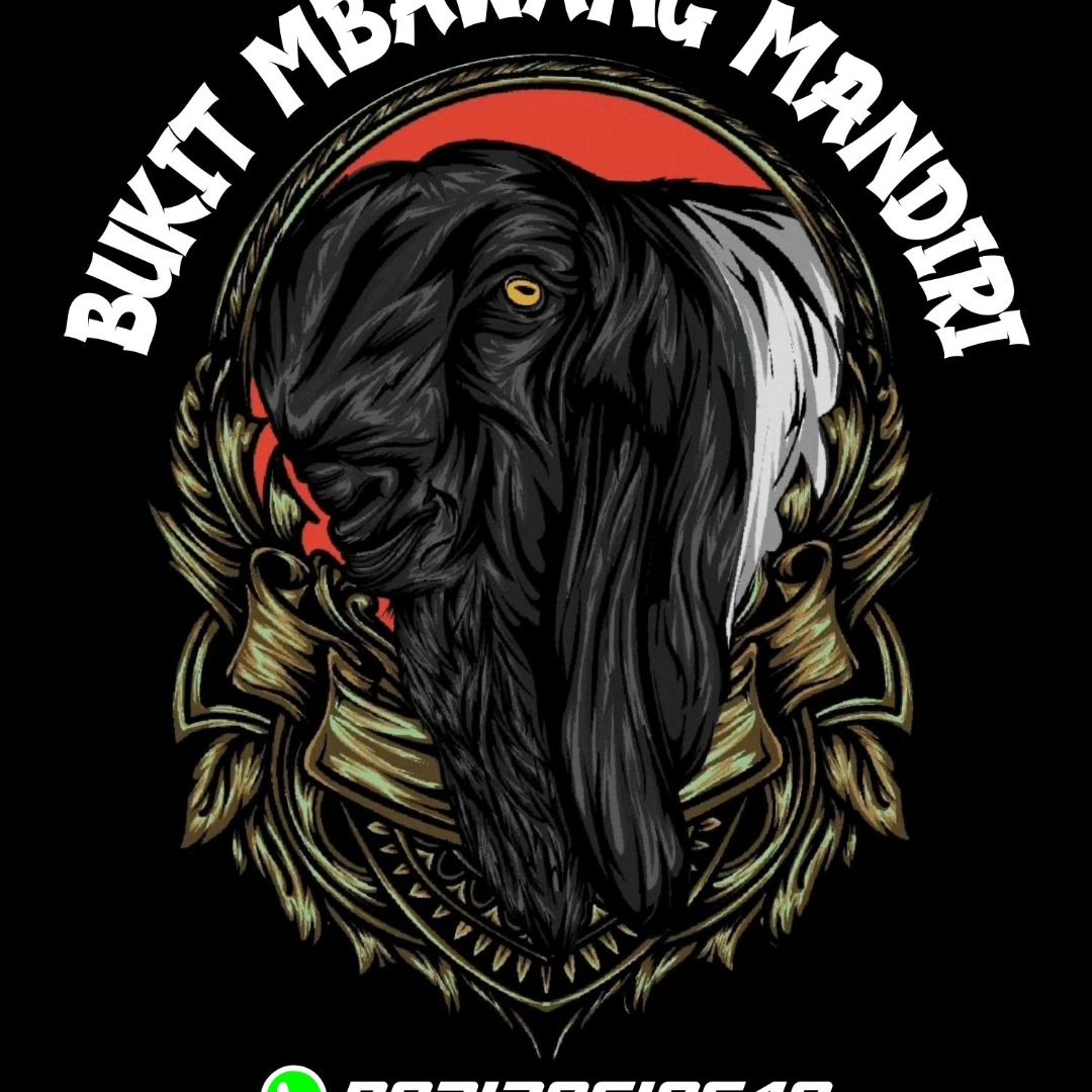 ngobatin yang cepet pake apa? #merpatikolong #merpatilovers | Erlando Aza
