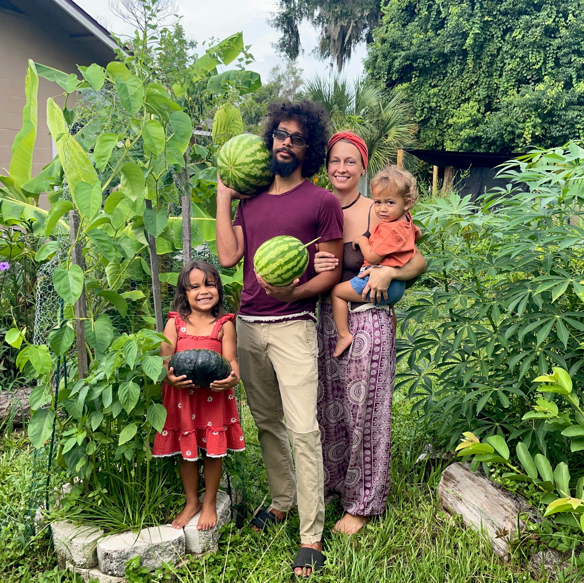 Florida Food Forest Revolution | Can anyone give advice as to what is ...