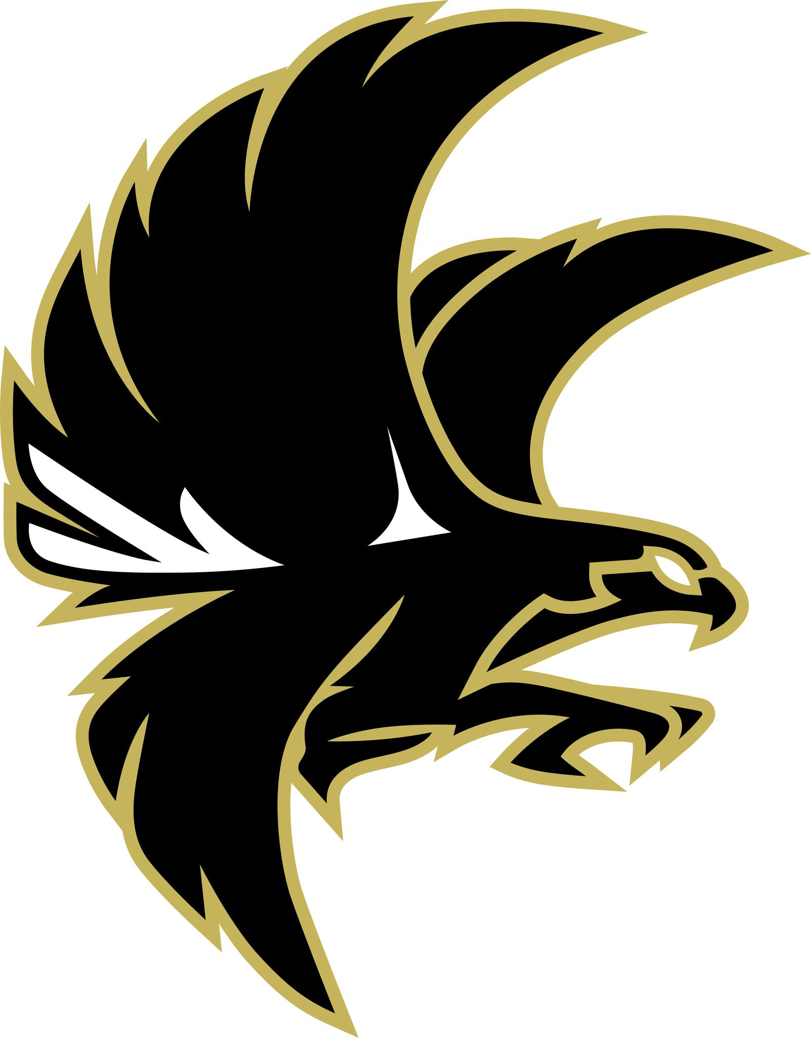 Falcon Ridge Middle School