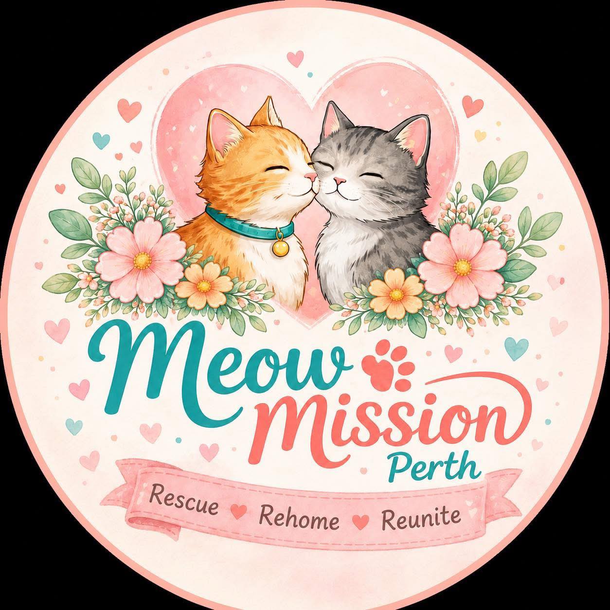 🧚‍♀️ Meet Pixie, our enchanting little fairy cat! Rescued from behind a ...