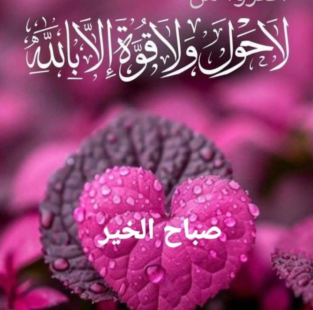 دول الكانون #عشري #Egypt #احمد_ناصر_لازم_يخرج | عشري Ashry