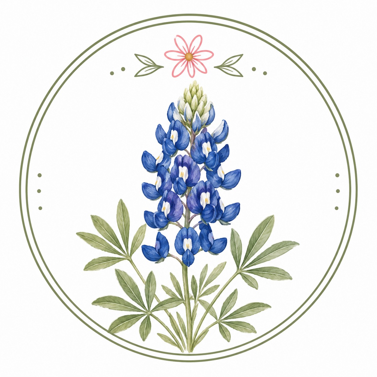 1st Grade Bluebonnet Teachers (FS,RLA,Math) | Facebook