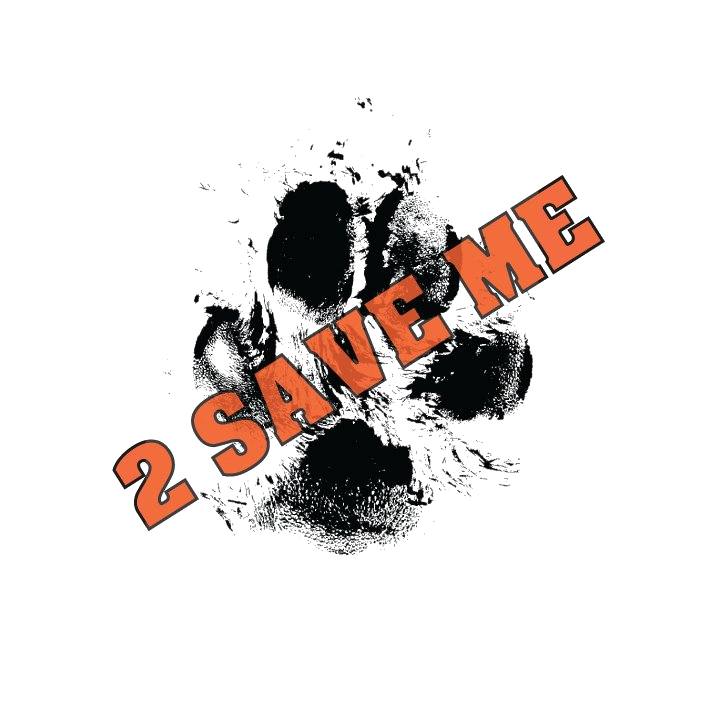 2 Save Me Cat and Dog Rescue