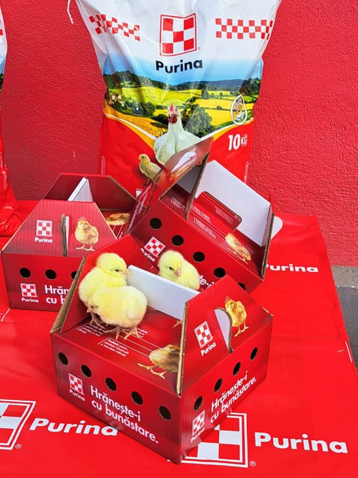 Sepreus La BONT - Facem inscrieri la : ....👍 Pui de o...