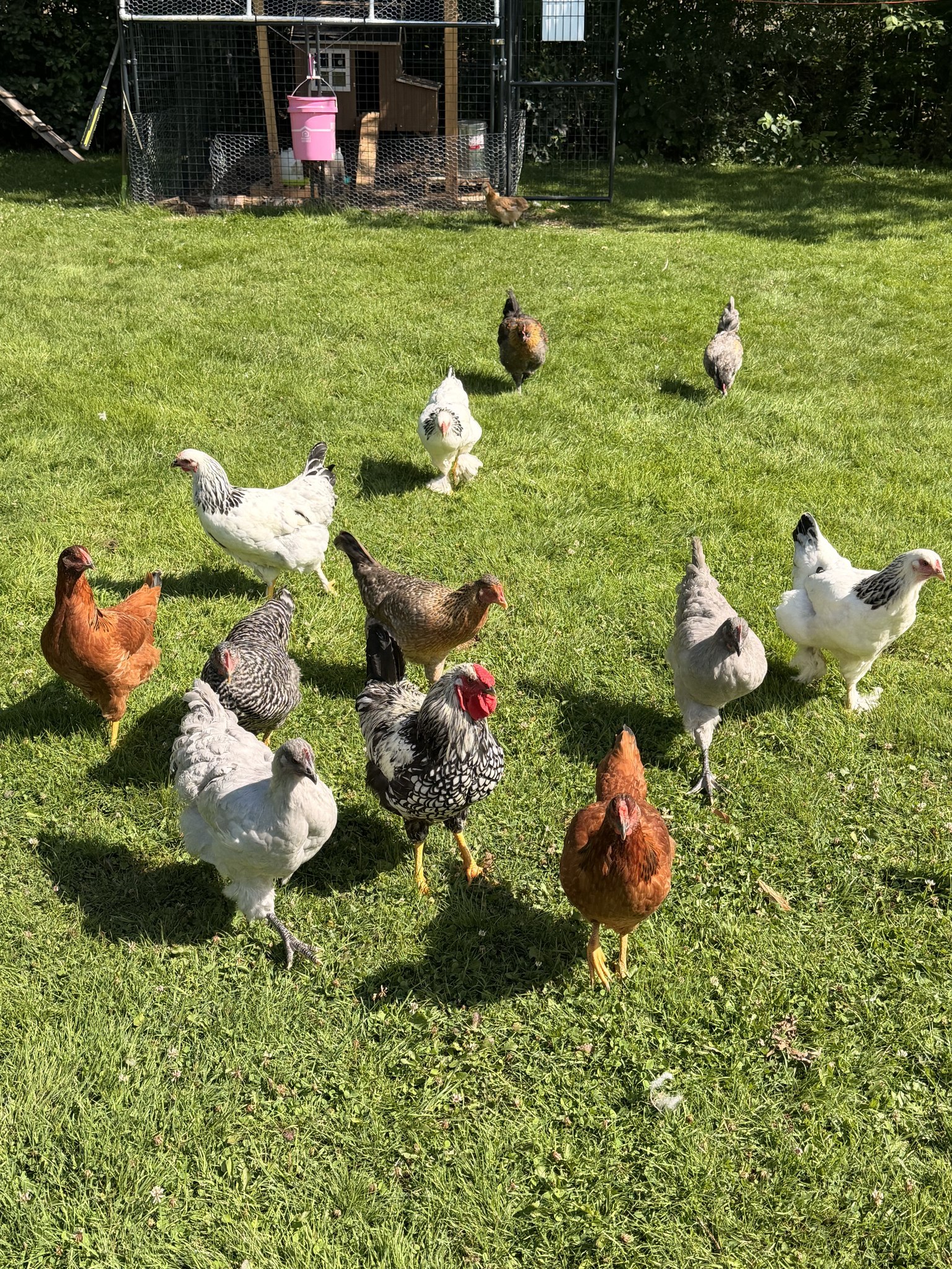 FK Adirondack Homestead | Saranac NY