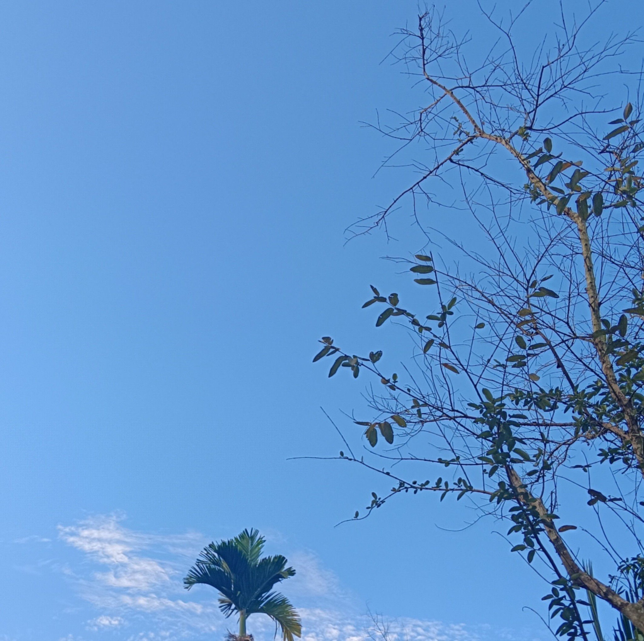 The Sky meets the ground Facebook Instagram #fb #facebookreelsviral # ...