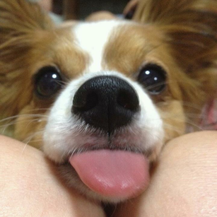 中村信治① 中村信治| Facebook