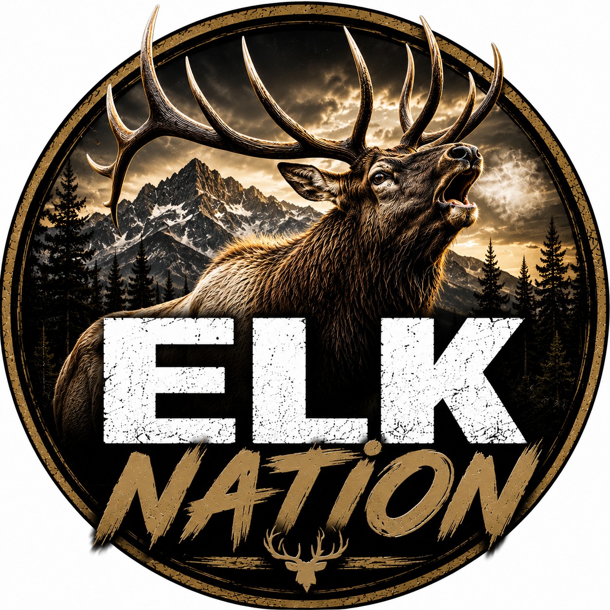 #Elkhunting | Elk Nation