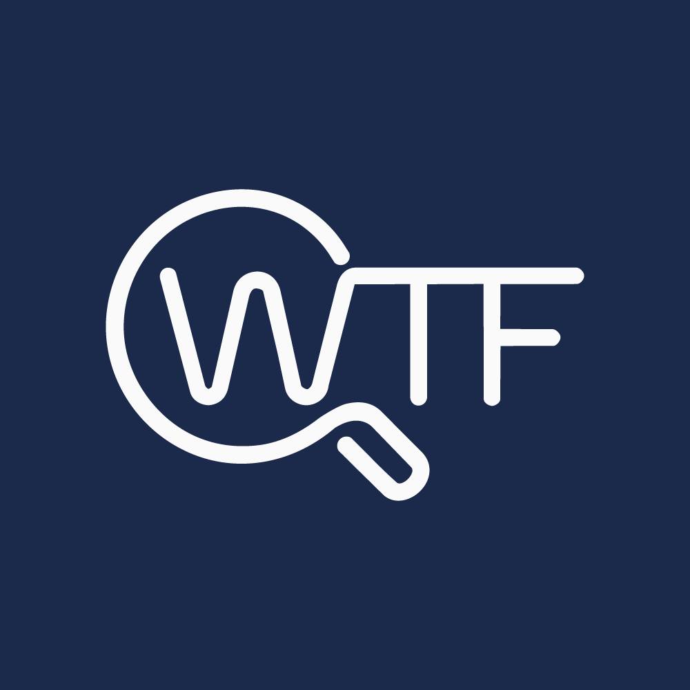 What The Fact Fact Checker & AI Detector