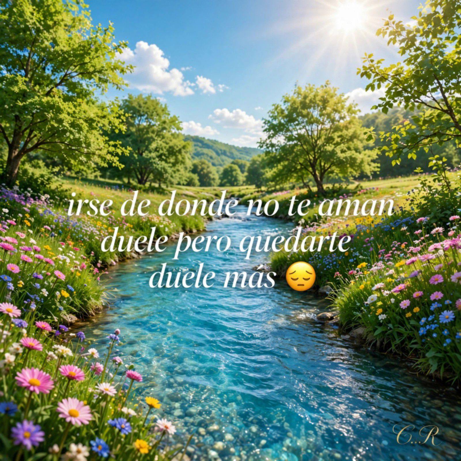 Pollito y agua natural....y mi kefir para proteger mis tripitas 😅🤩 ...