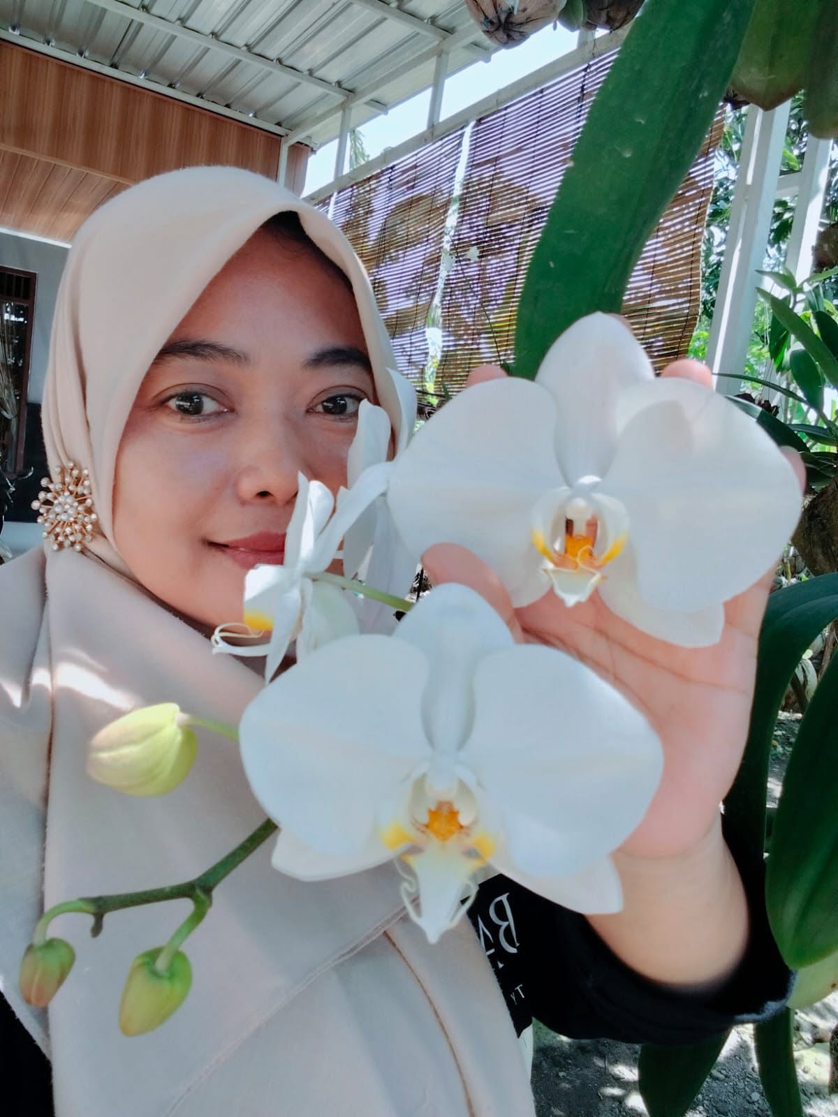 Flowers in bloom at SemestaKoe Garden. 🌸🌿 Full sun, full rain, no ...