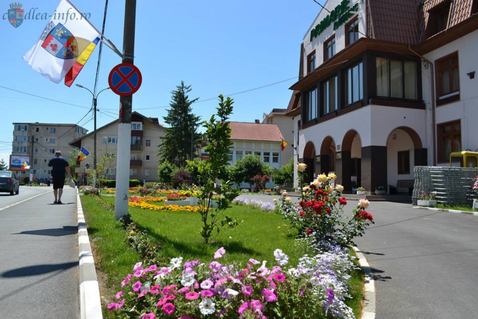 Primăria Municipiului Codlea | Codlea