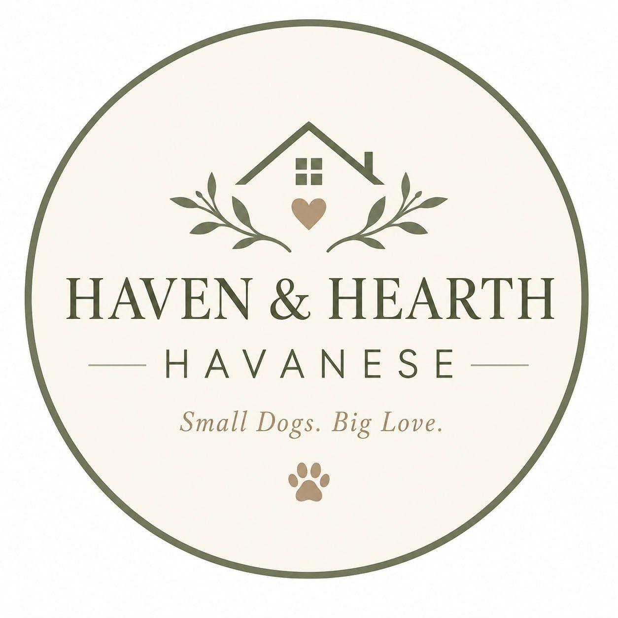 Havanese Rescue and Adoption | Facebook