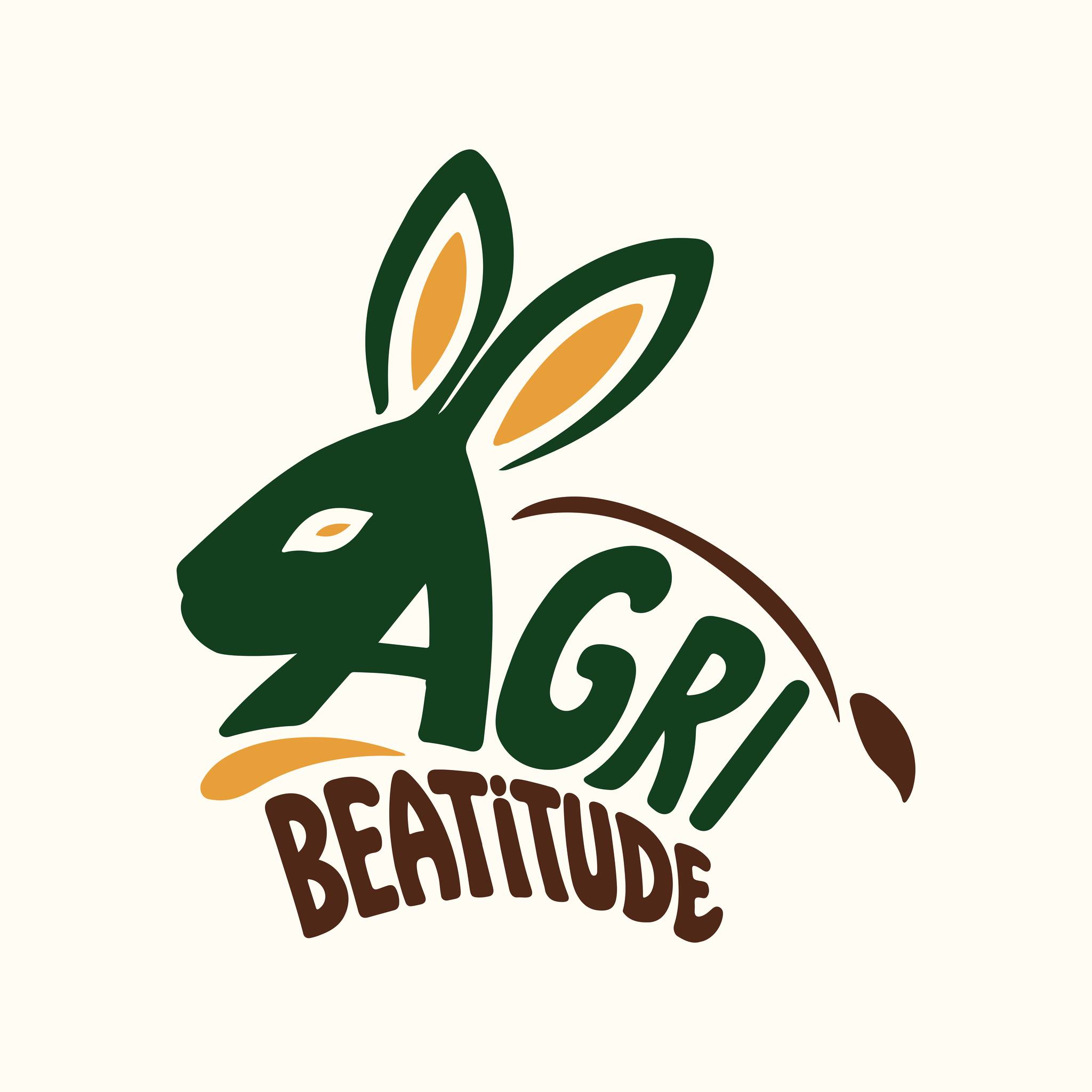 Wild rabbit life #wildlife #rabbit | نجوم صيد البر