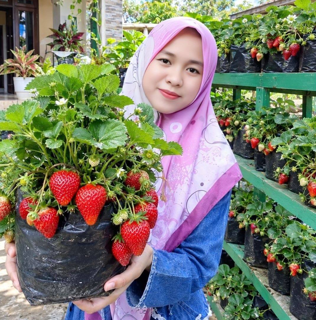 Beri makan baby ayam kampung dulu Bun 🐥💛 Gemoy-gemoy sehat-sehat ya nak ...