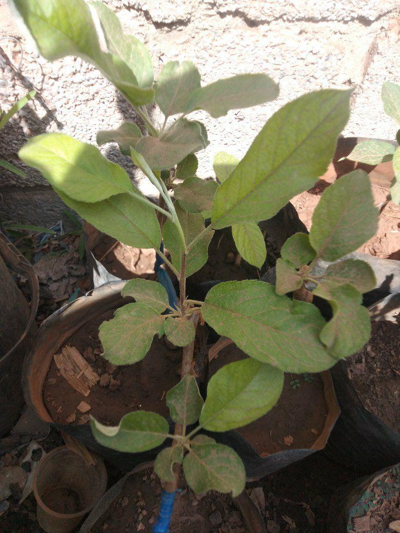 agricultural products | Facebook