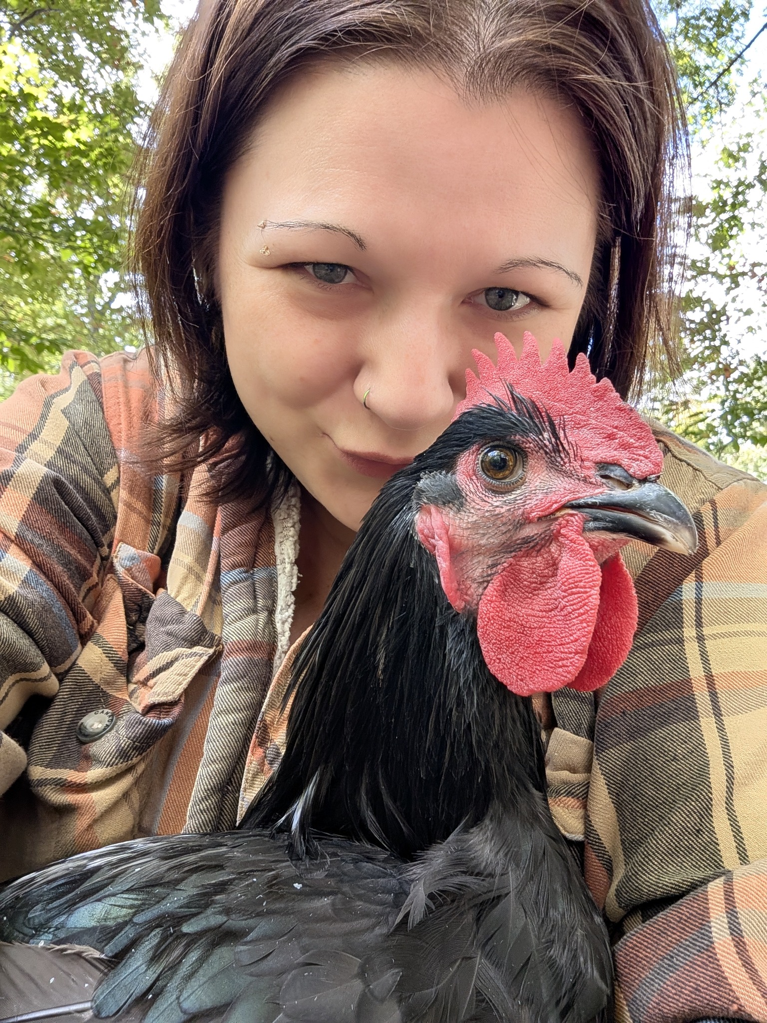 Angry chicken guarding her egg 🤣 | Jessica's Little Homestead