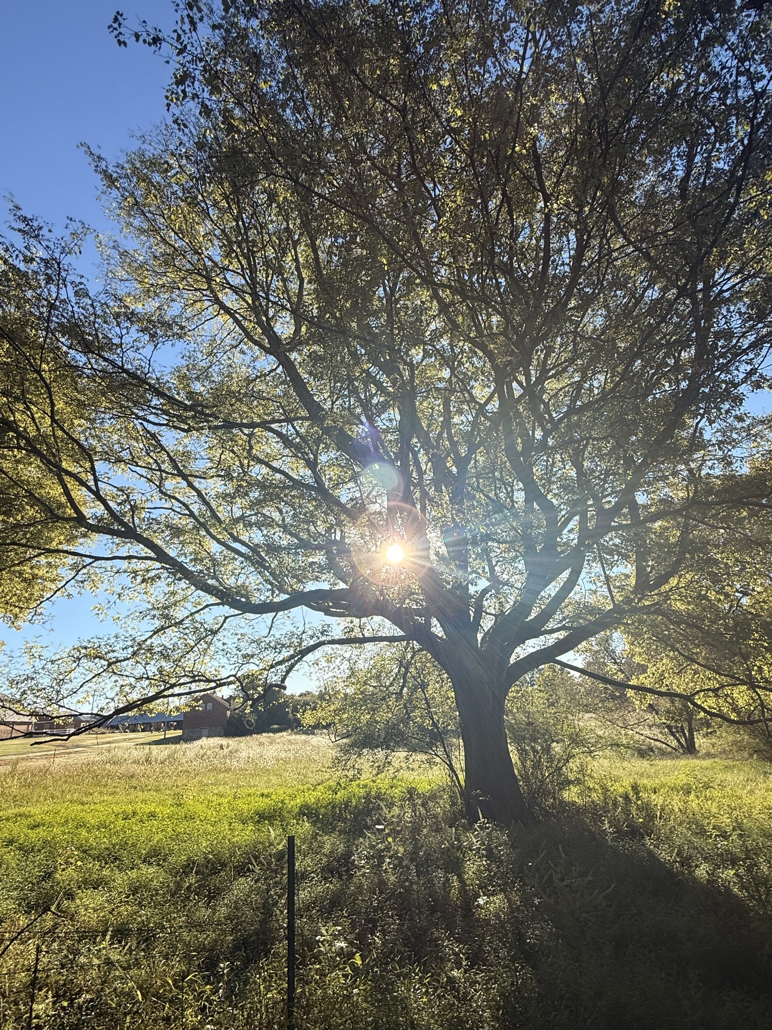 What is one worry you can lay down for tonight? | Rooted & Rising