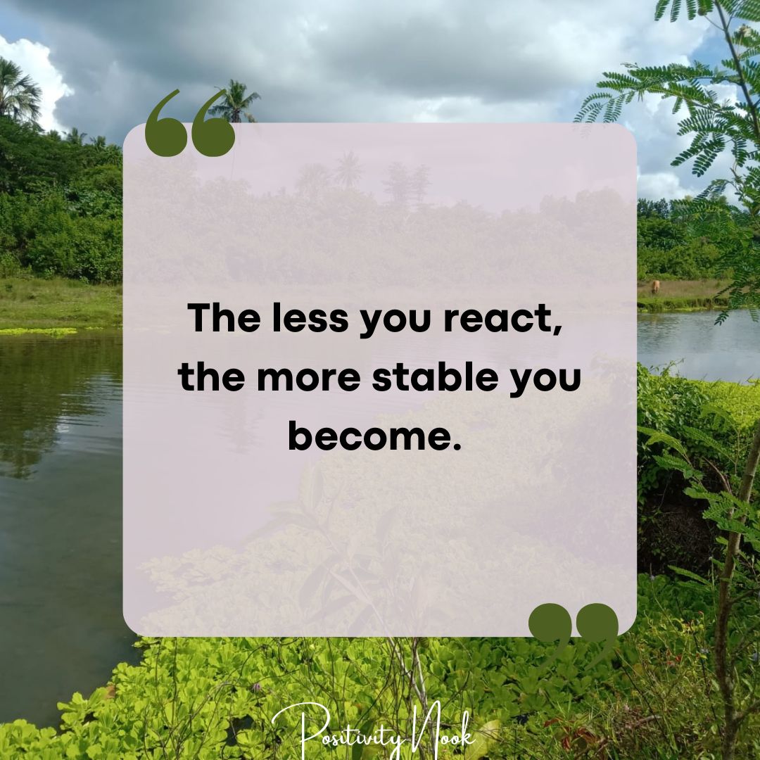 Positivity Nook - The less you react, the more stable you... | Facebook