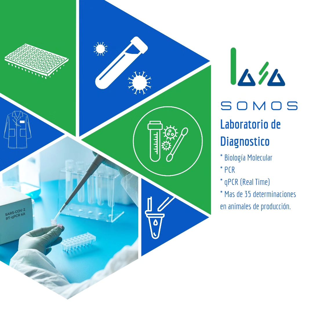 LASA - Somos Laboratorio de Diagnóstico en Biología...