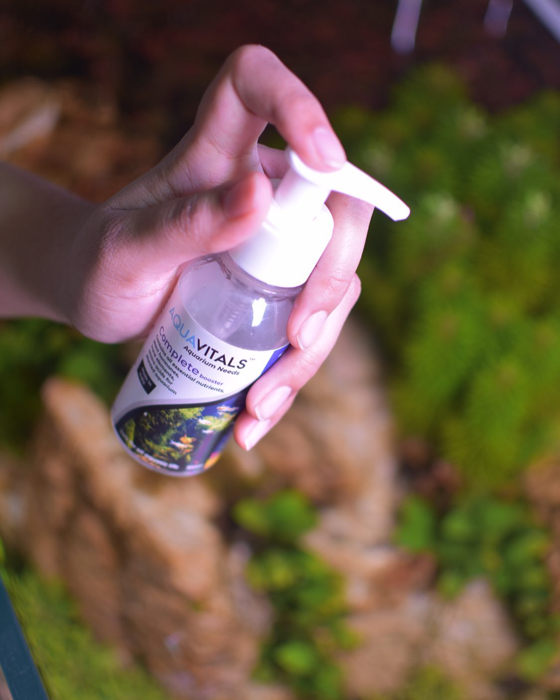 Snapshot of Natural Plant Color Enhancers For Aquariums
