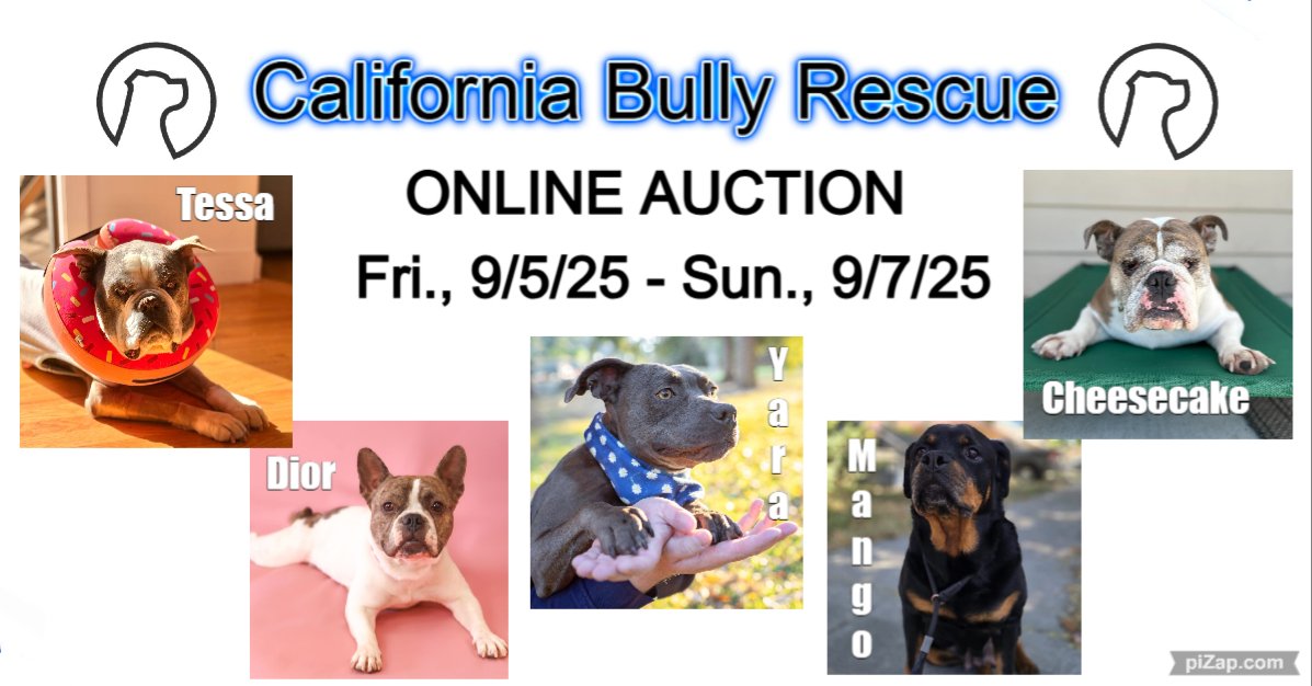 California Bully Rescue Online Auction, 9/5/25 - 09/7/25