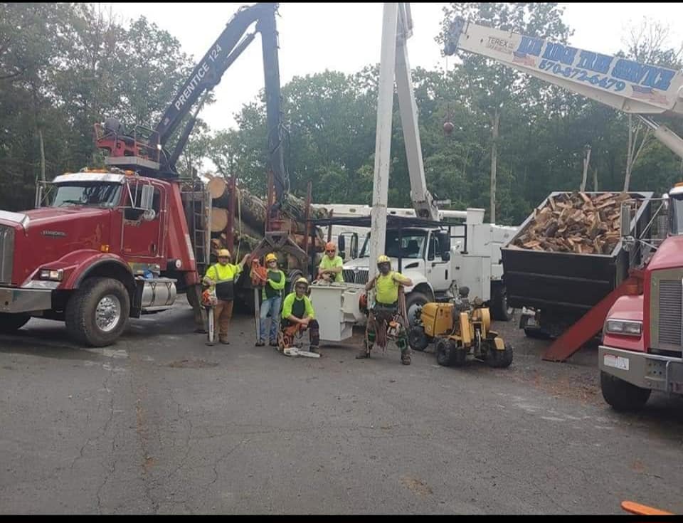 Bad Ass Tree Crew! Experience... - Blue Ridge Tree Services | Facebook