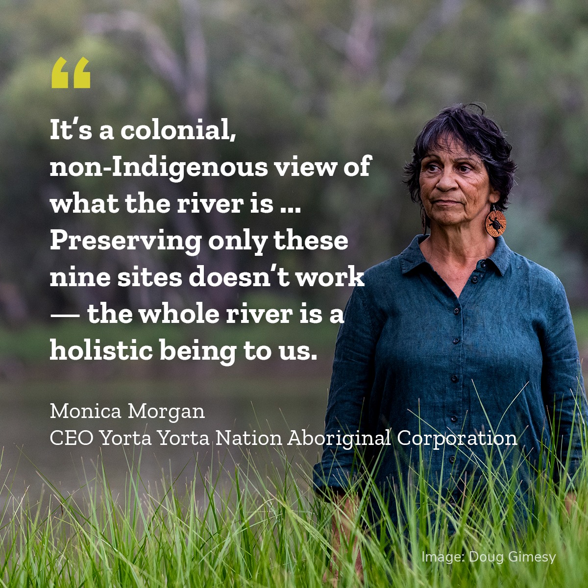 Environment - The Murray River wetlands are part of one big ecosystem ...