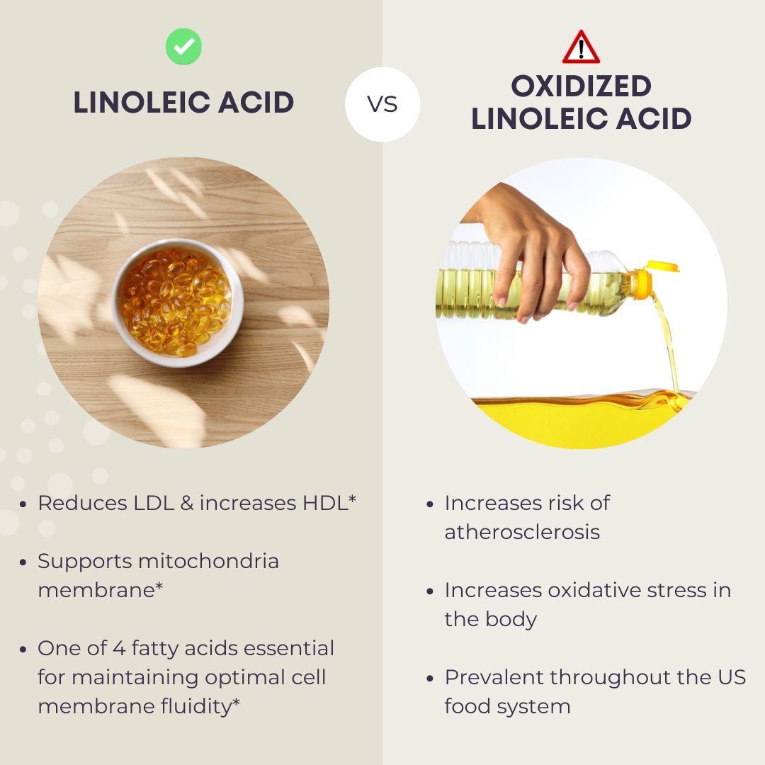 In one body of cited research, reducing linoleic acid (LA) from more than 6% of calories to 2% to 3% lowered oxidative stress markers by 20% in 12 weeks during controlled feeding