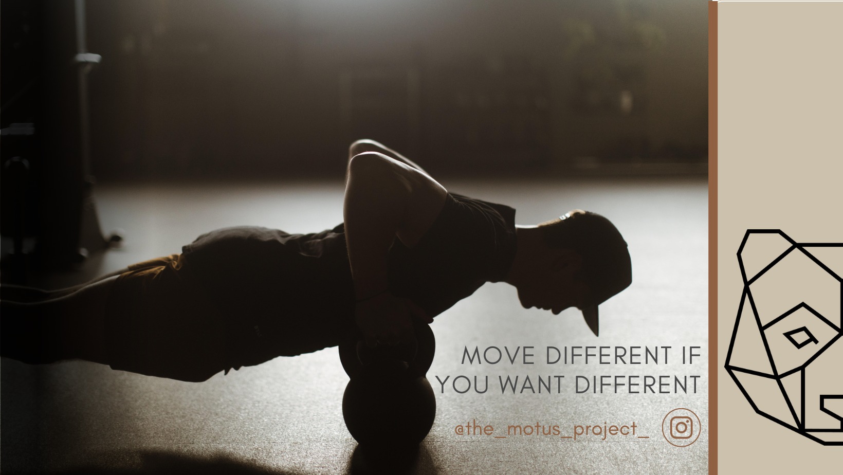 Harrison Pollack: The Motus Project | La Crosse WI