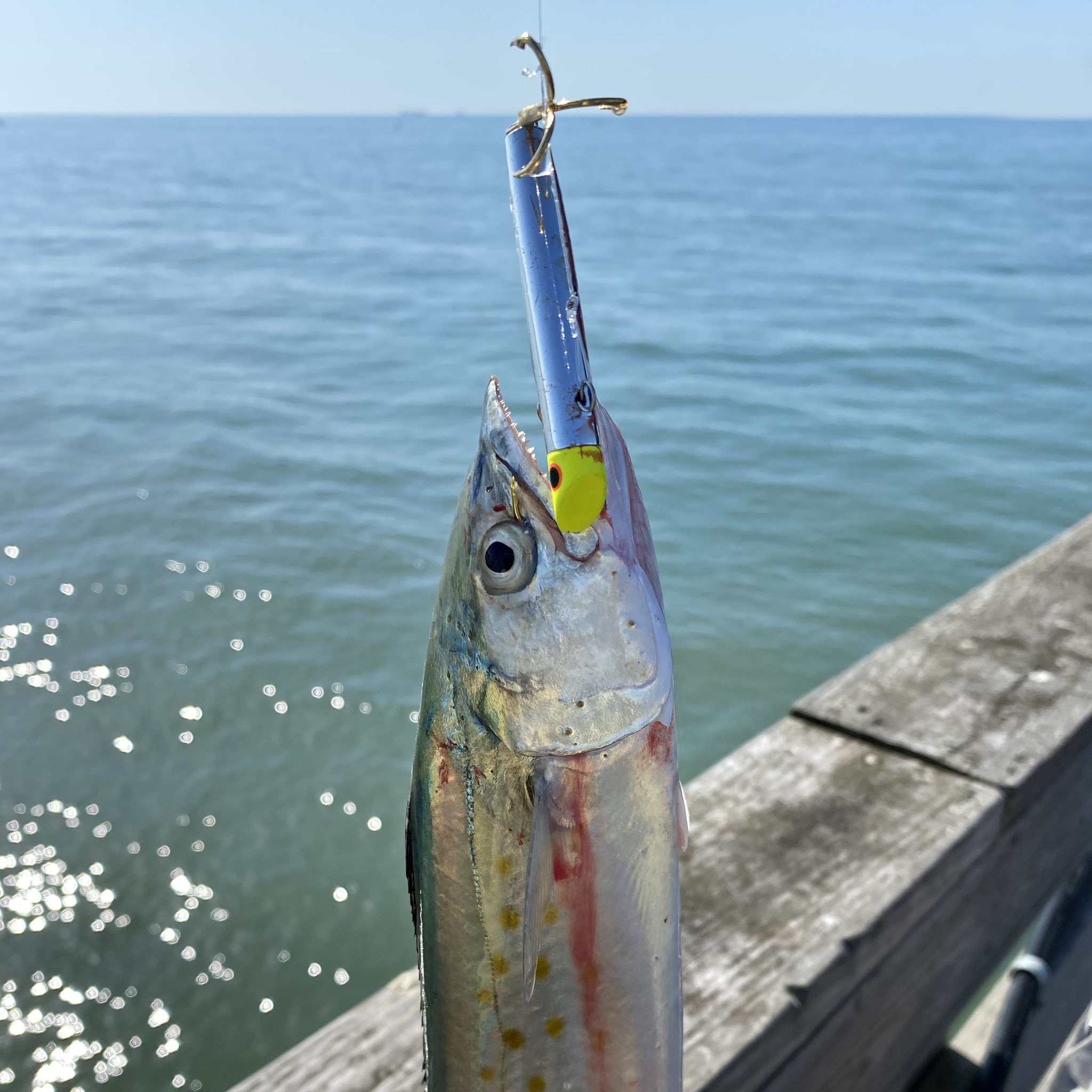 a27 fishing lure THE MIGHTY FISH TACKLE COMPANY MF 027 DIAMOND JIG Style=Fishing Made from soft yet On Our Radar: Reel Size:1120