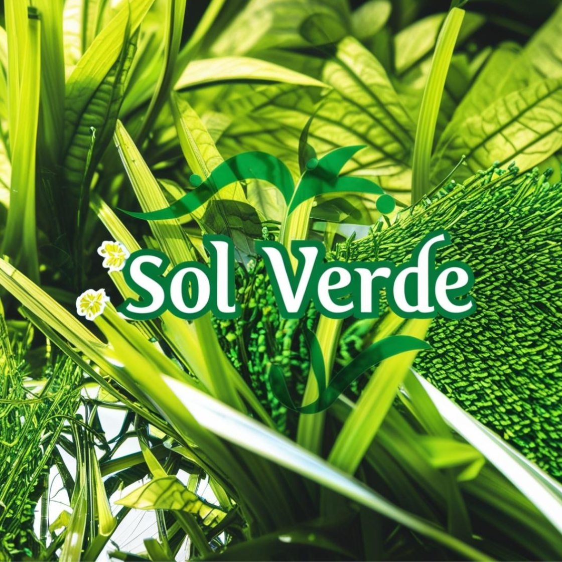 Sol Verde Costa Rica