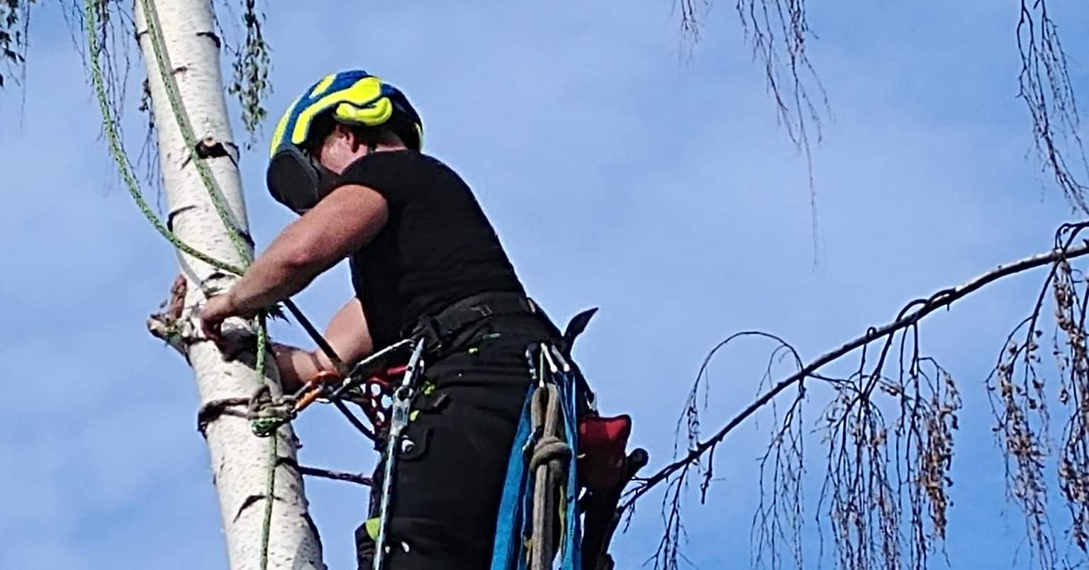Timber Ridge Tree Service | South Calgary, Calgary AB