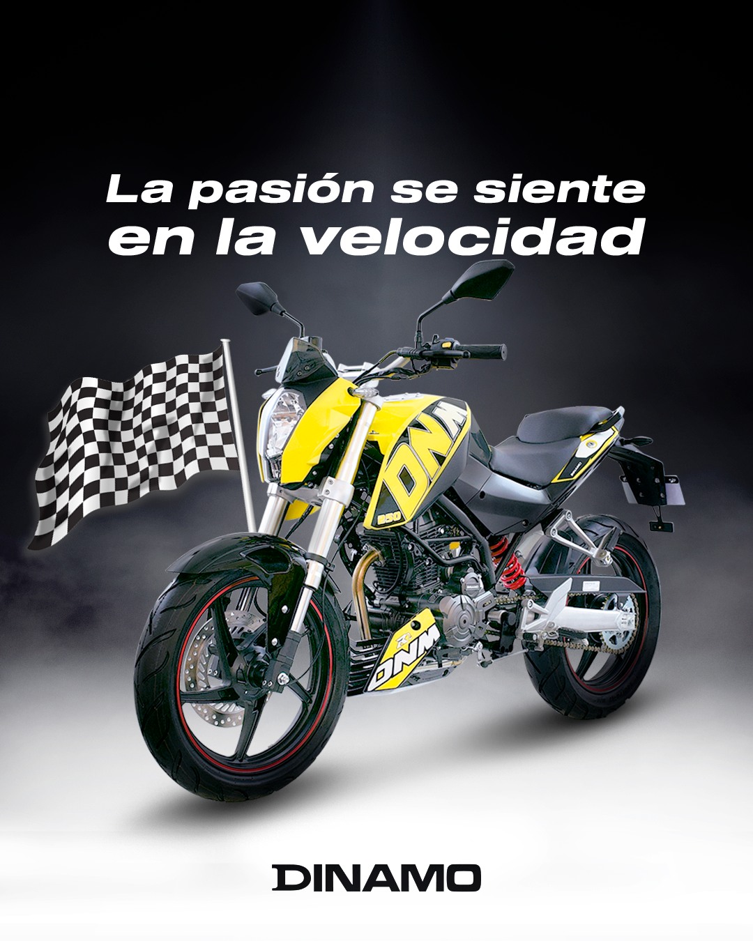 Motocicletas Dinamo Oficial - Déjate llevar por la velocidad de la ...