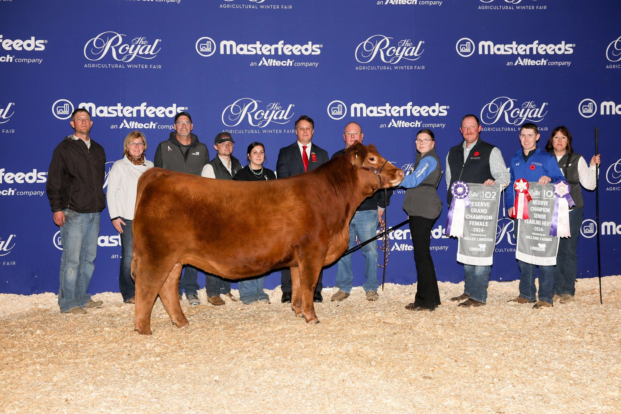 Fall Finale Beef Show added a new... - Fall Finale Beef Show