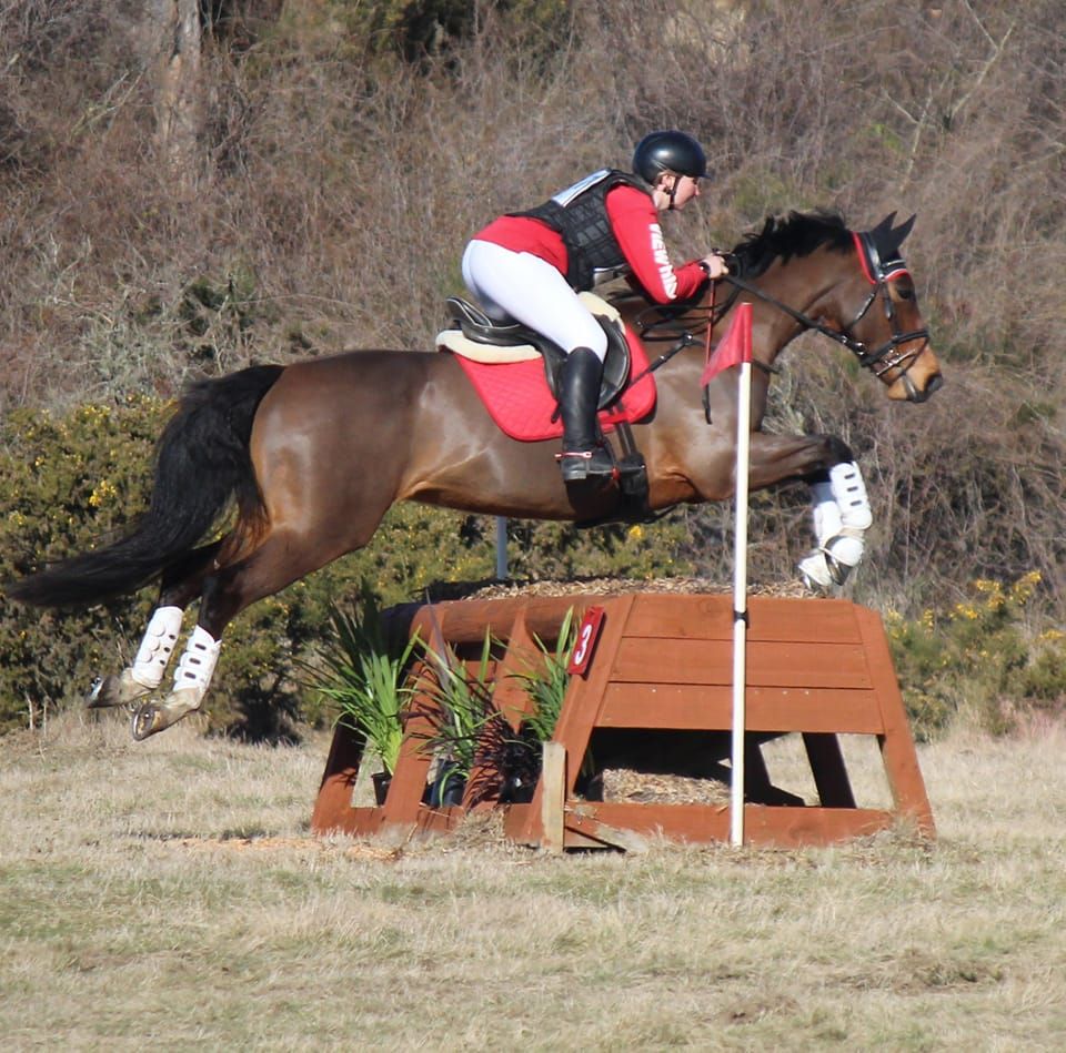 Sumner Valley Riding School... - Sumner Valley Riding School