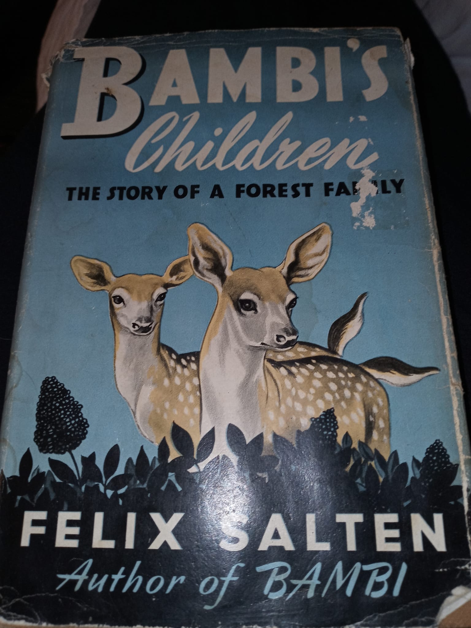 I was so happy to find this old book in a musty antique shop 