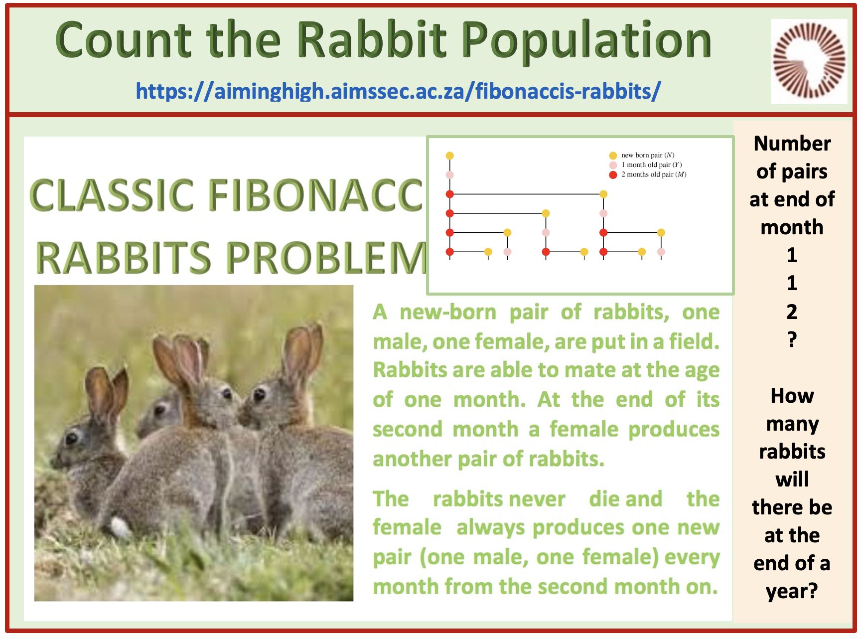 AIMSSEC - The chart shows the rabbit family tree starting...