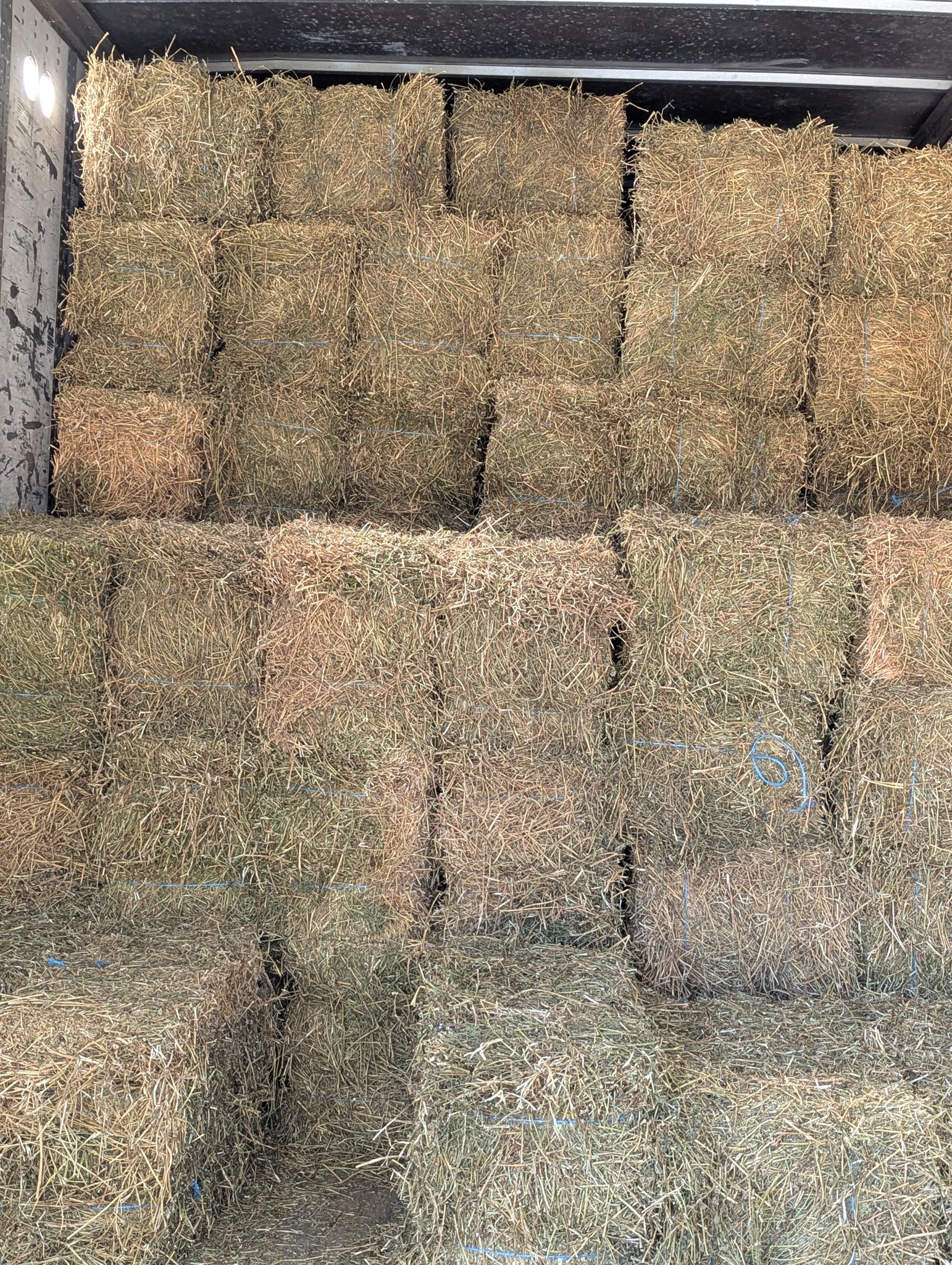 Carrollton Stampede Rodeo | Carrollton GA